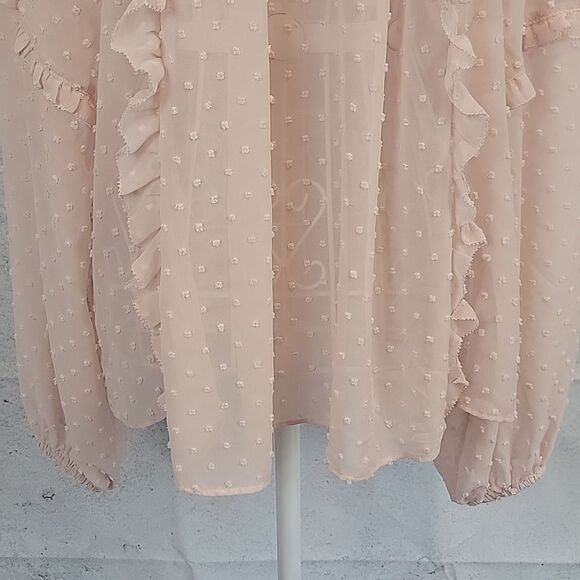 Express Sheer Peach Colored Blouse With Embroidered Details Womens Size Lg - Picture 3 of 11